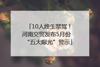 10人终生禁驾！河南交警发布5月份“五大曝光”警示